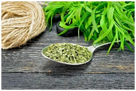 تصویر 3 از خرید سبزی ترخون خشک + بهترین قیمت